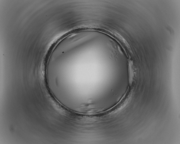 X0000113530981200910091219