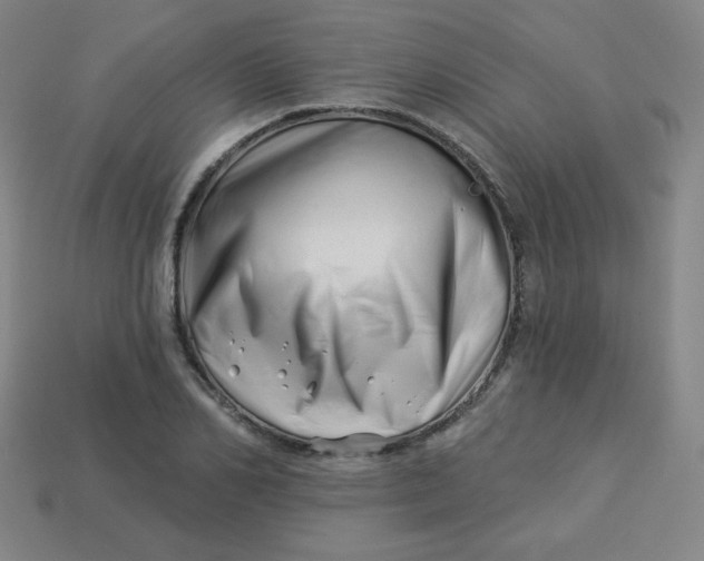 X0000113530982200910091219