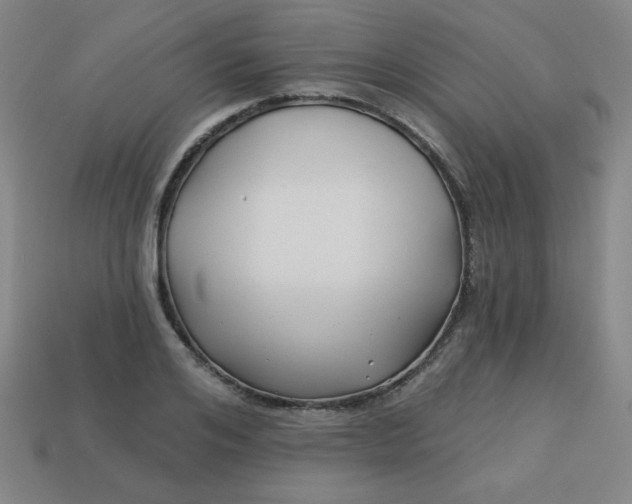 X0000113530984200910091219