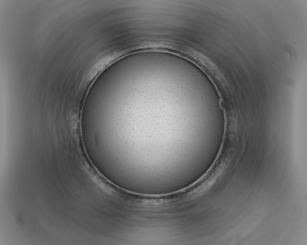 X0000113530985200910091219