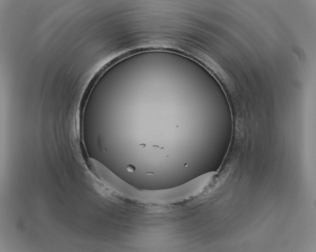 X0000113530988200910091219