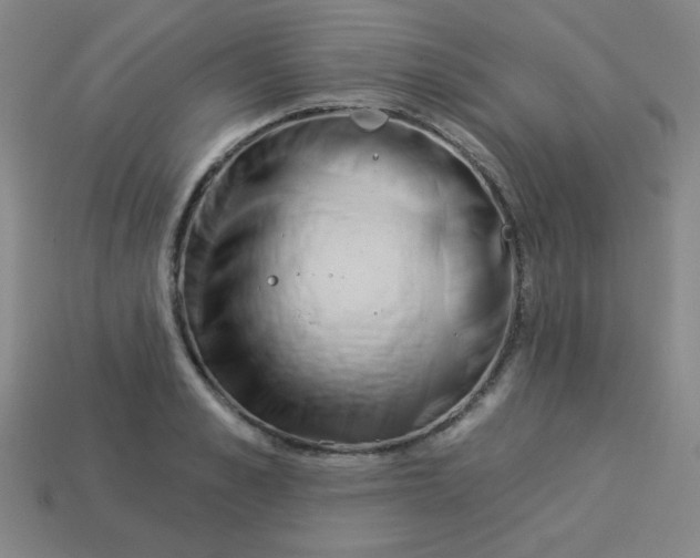 X0000113530989200910091219