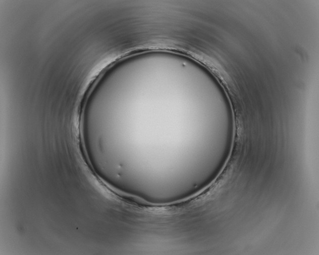 X0000113530990200910091219