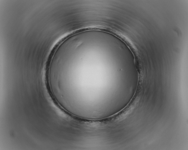 X0000113530991200910091219