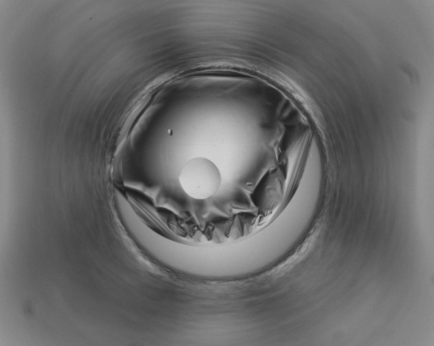 X0000113530993200910091219