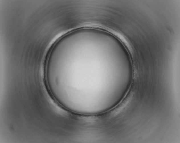 X0000113530999200910091219