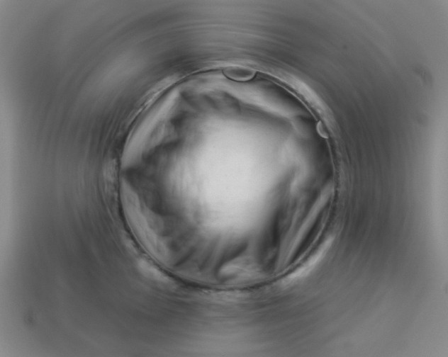 X0000113531001200910091219