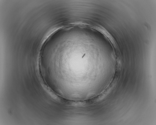 X0000113531002200910091219