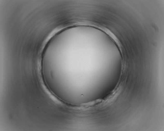 X0000113531005200910091219