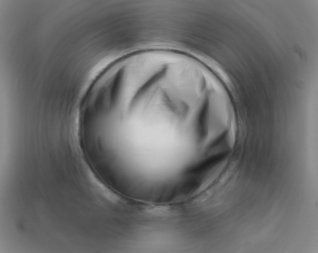 X0000113531006200910091219