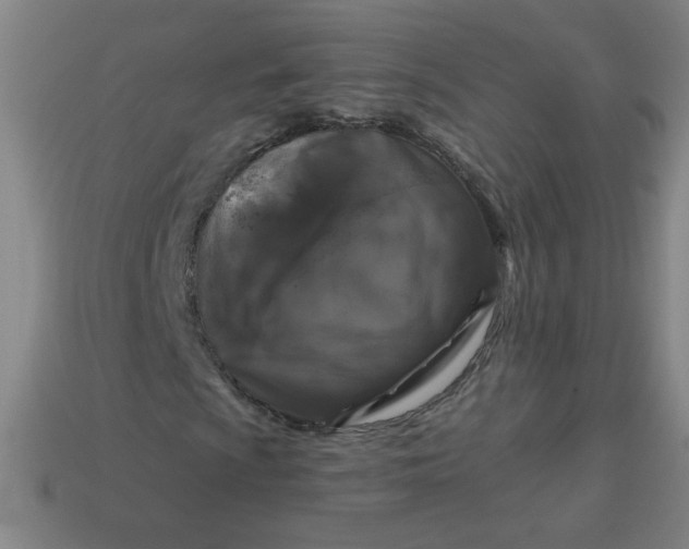 X0000113531009200910091218