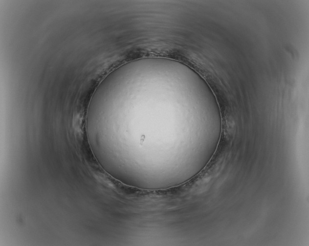 X0000113531010200910091218