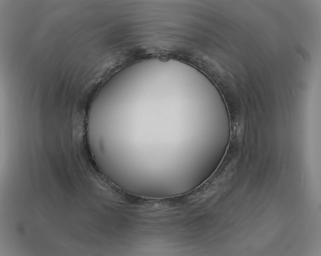 X0000113531012200910091218