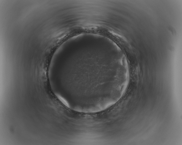 X0000113531013200910091218