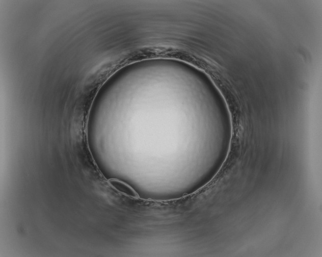 X0000113531014200910091218