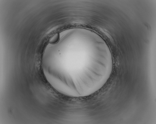 X0000113531015200910091218