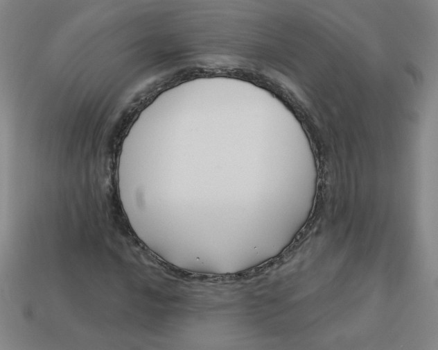 X0000113531016200910091218