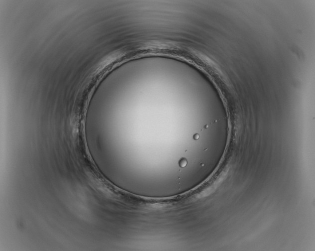 X0000113531017200910091218