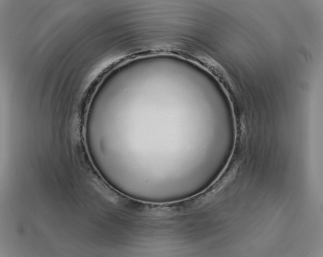 X0000113531019200910091218