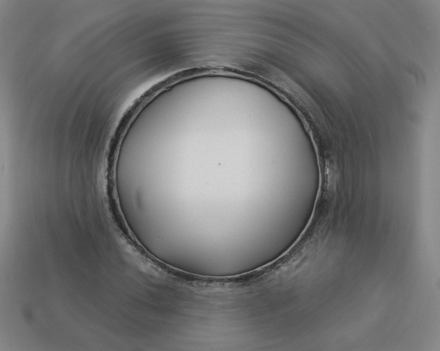 X0000113531020200910091218