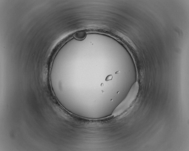 X0000113531021200910091218