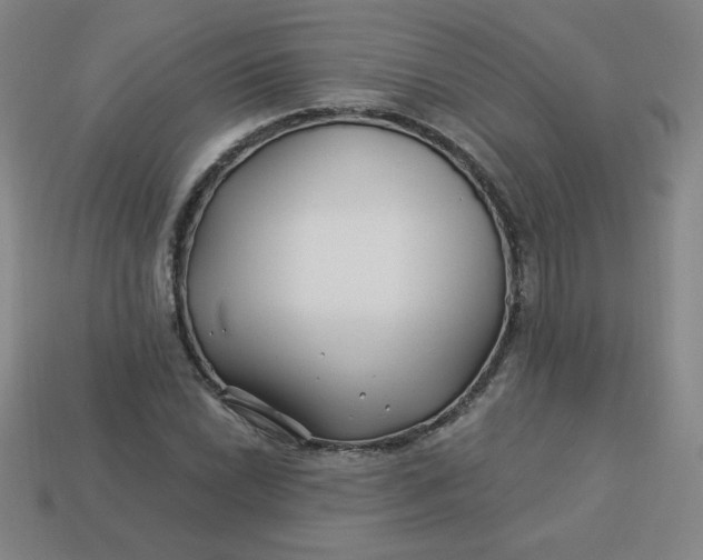 X0000113531022200910091218