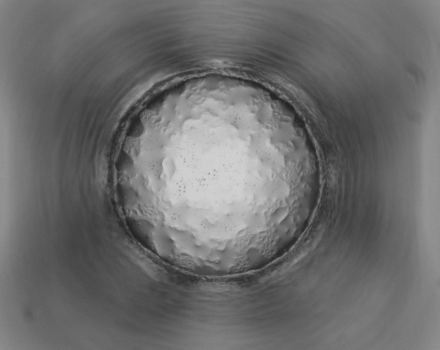 X0000113531023200910091218