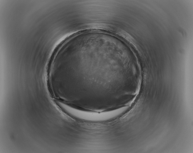 X0000113531024200910091218