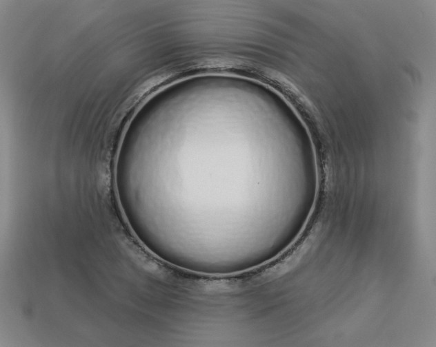 X0000113531025200910091218