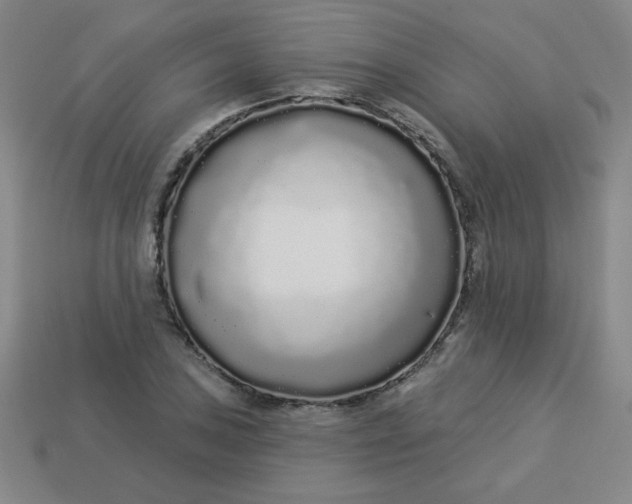 X0000113531027200910091218