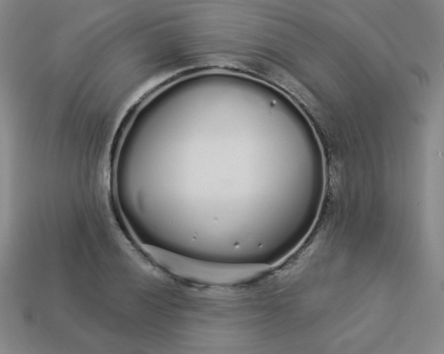 X0000113531028200910091218