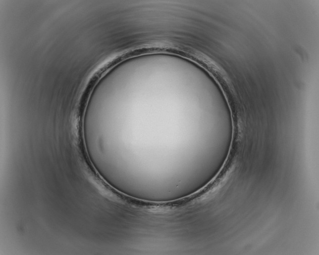 X0000113531029200910091218