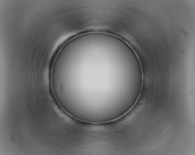 X0000113531030200910091218