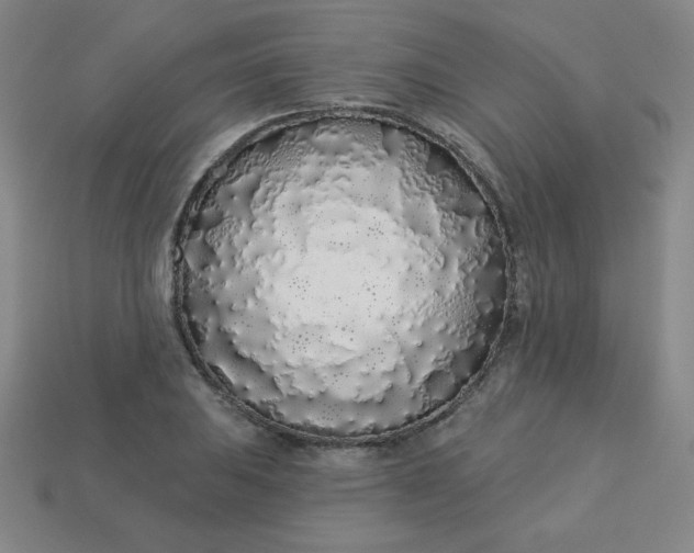 X0000113531031200910091218