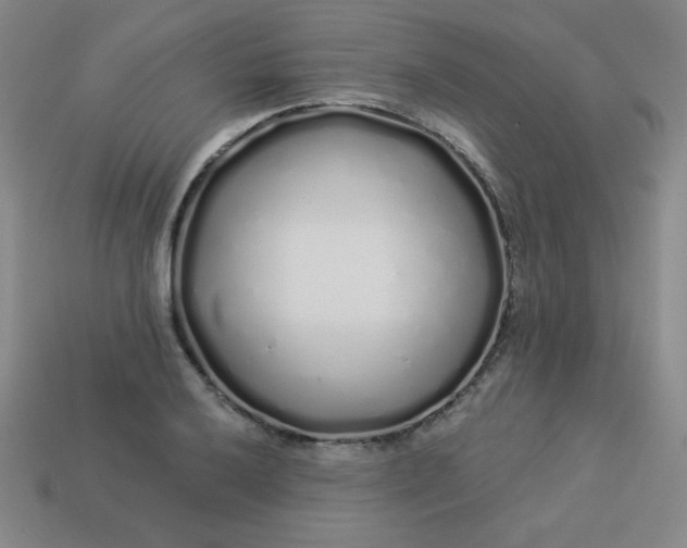 X0000113531032200910091218