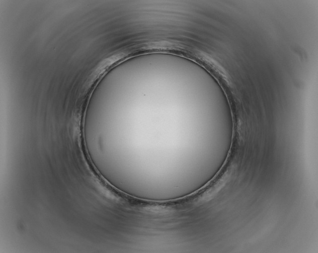 X0000113531033200910091218