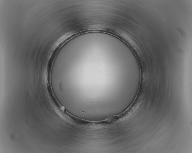 X0000113531034200910091218