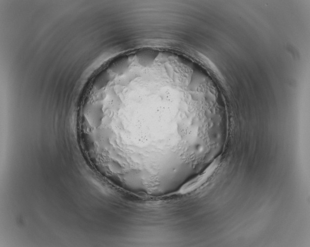 X0000113531035200910091218