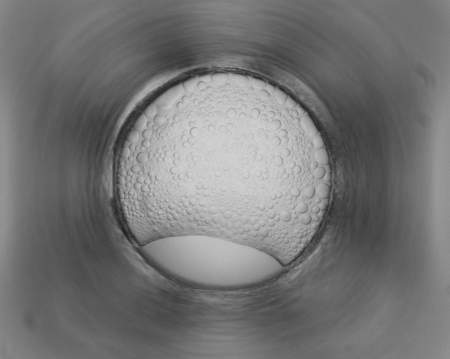 X0000113531036200910091219