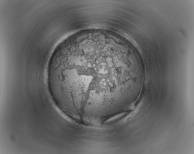 X0000113531037200910091219