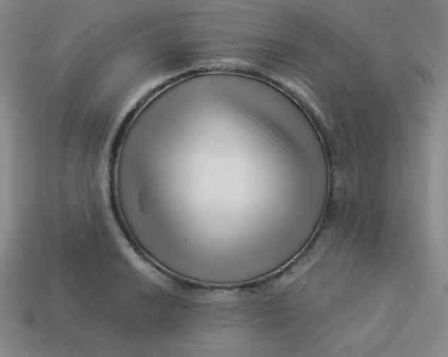 X0000113531038200910091219