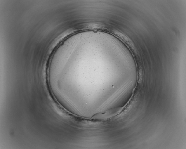 X0000113531039200910091219