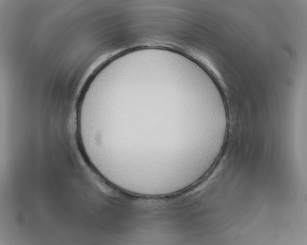 X0000113531040200910091219