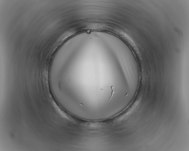 X0000113531041200910091219