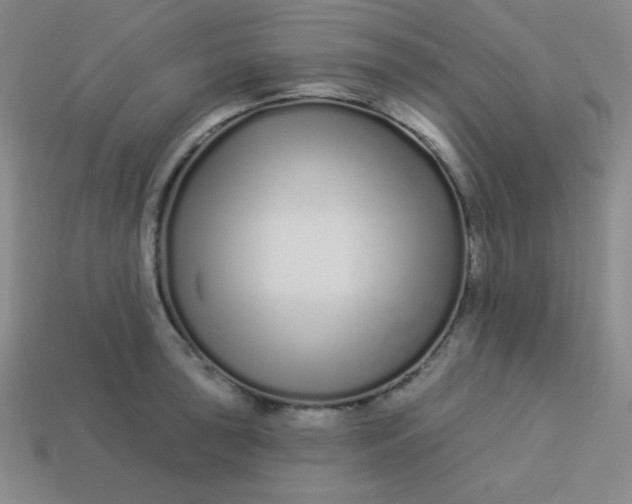 X0000113531043200910091219