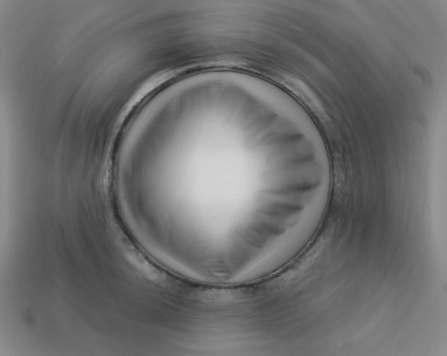 X0000113531044200910091219