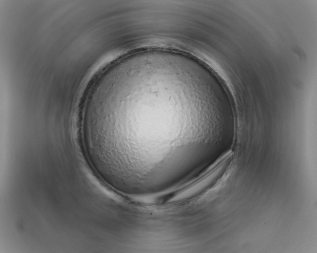 X0000113531045200910091219