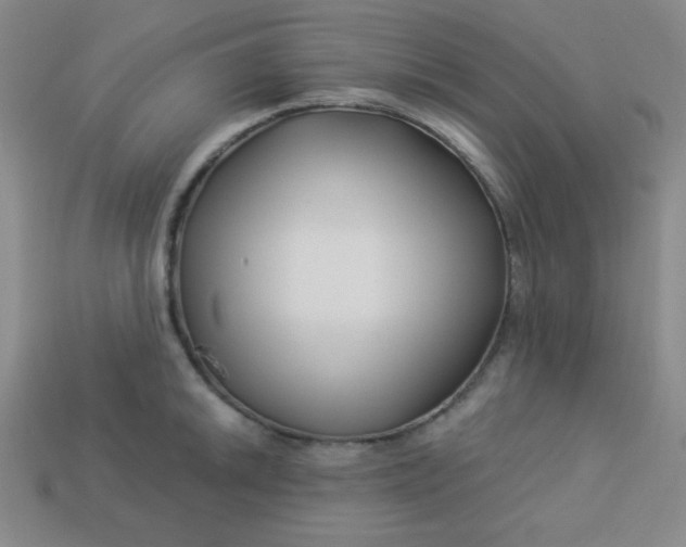 X0000113531046200910091219