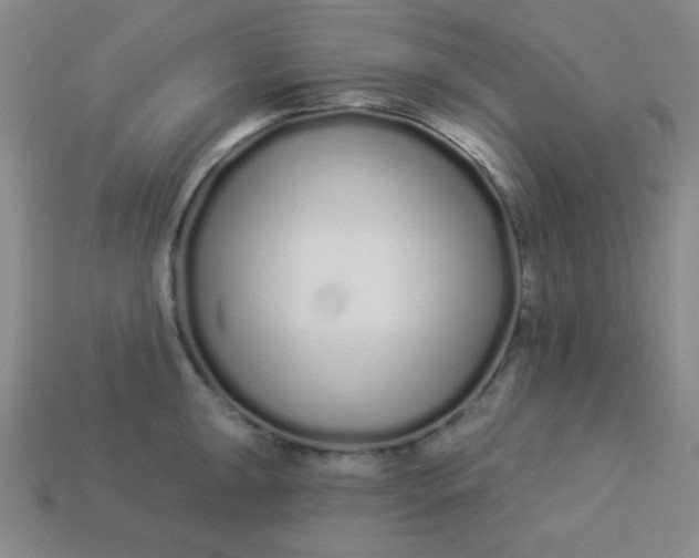 X0000113531047200910091219