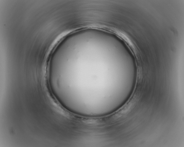 X0000113531048200910091219